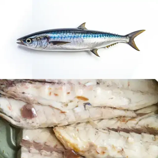 Skumbrija (Makrele)