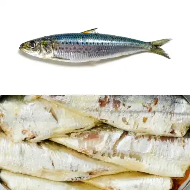 Sardīne
