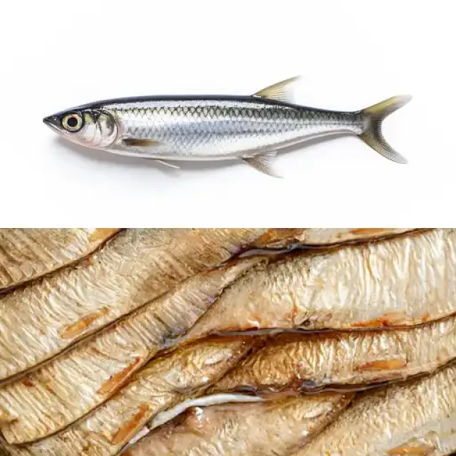 Šprotes (Brētliņas / Reņģes)